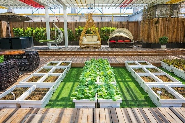 Grow Your Own Paradise: Essential Tips for Starting a Garden from Scratch