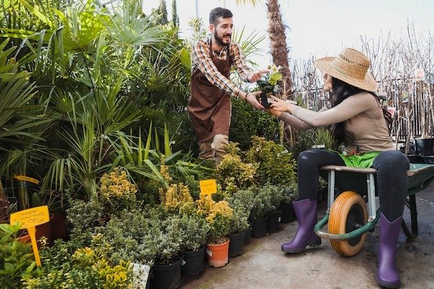The Ultimate Guide to Low-Maintenance Gardens: Beautiful Spaces with Minimal Effort