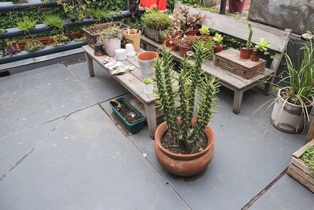 The Best Flowers to Plant for a Colorful, All-Season Garden