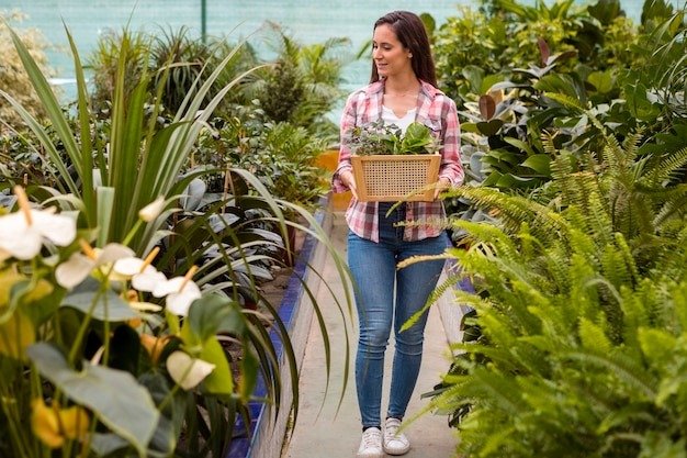Creating a Relaxing Garden Retreat: Design Tips for Your Perfect Oasis