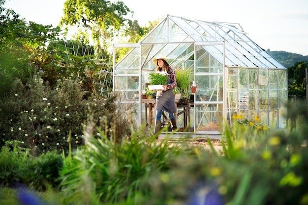 How to Attract Pollinators: Planting for Bees, Butterflies, and Birds
