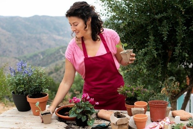 The Best Indoor Plants for Your Home Garden: Low-Light and Low-Maintenance Options